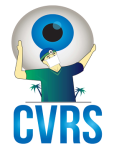 Caribbean Vitreous and Retina Surgery Ltd